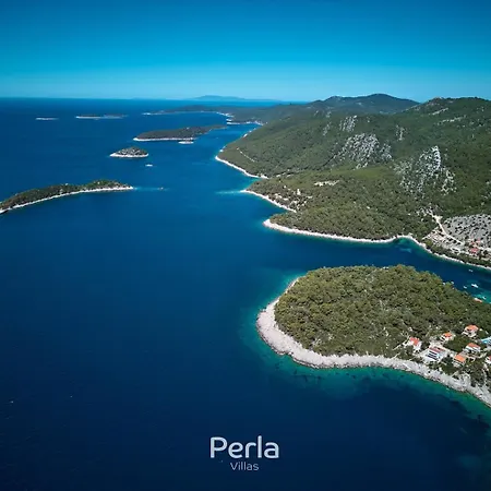 Bonay With Pool, Jacuzzi And Sea View 80m From The Blato (Korcula)