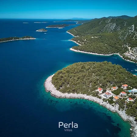 Bonay With Pool, Jacuzzi And Sea View 80m From The Villa Blato (Korcula)