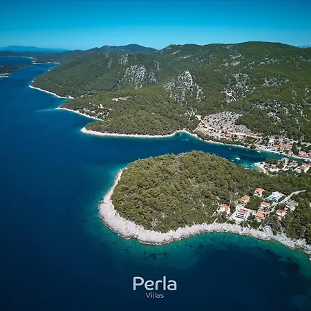 Bonay With Pool, Jacuzzi And Sea View 80m From The Villa Blato (Korcula)